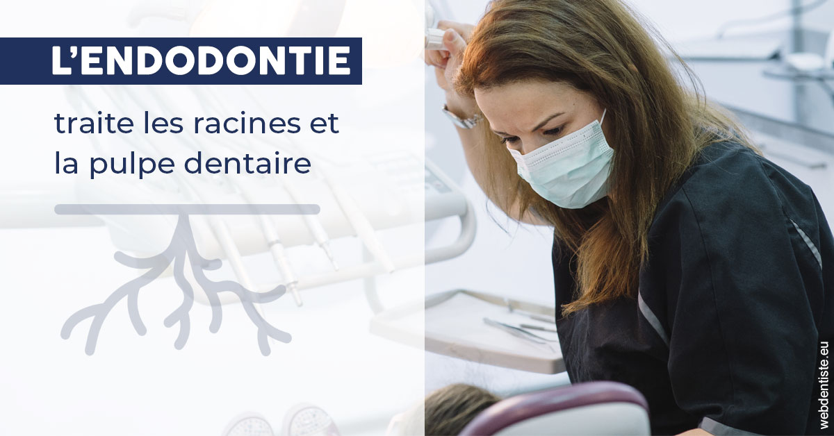https://dr-sanglard-gilles.chirurgiens-dentistes.fr/L'endodontie 1