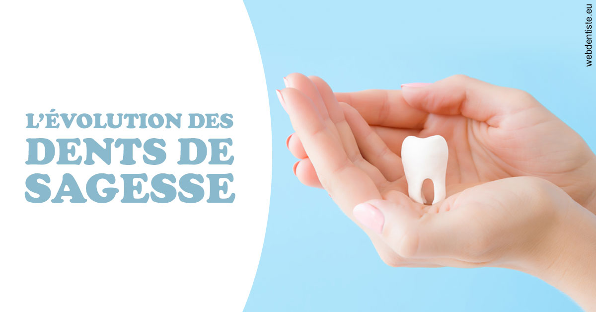 https://dr-sanglard-gilles.chirurgiens-dentistes.fr/Evolution dents de sagesse 1
