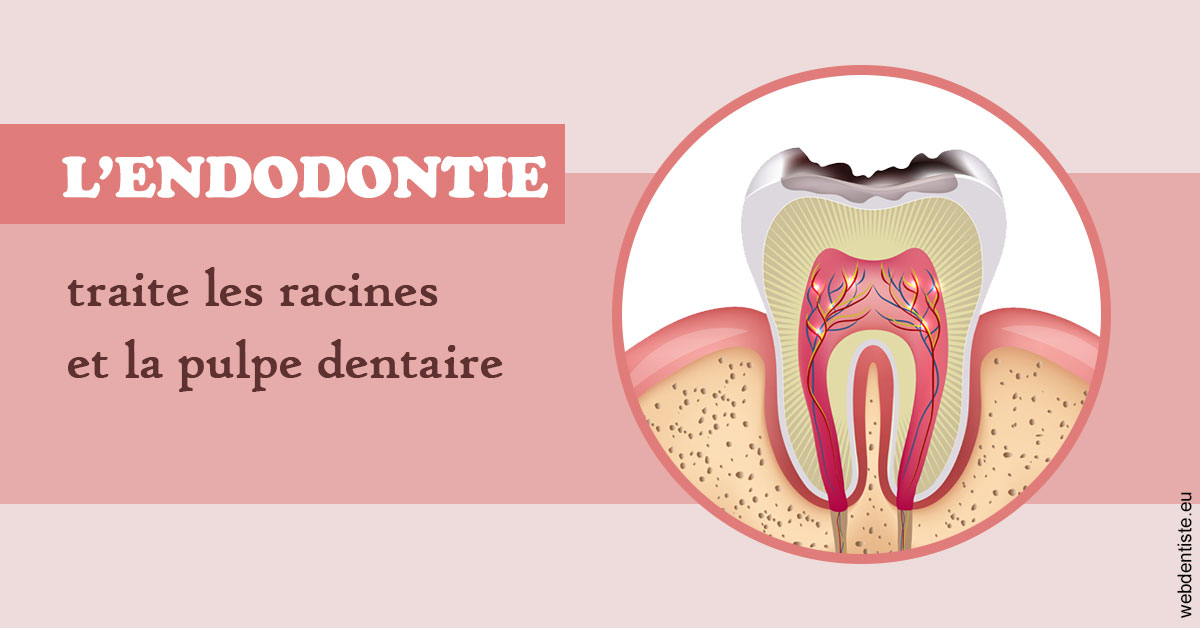 https://dr-sanglard-gilles.chirurgiens-dentistes.fr/L'endodontie 2
