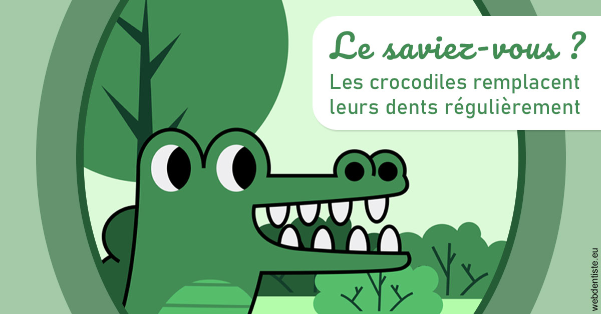 https://dr-sanglard-gilles.chirurgiens-dentistes.fr/Crocodiles 2