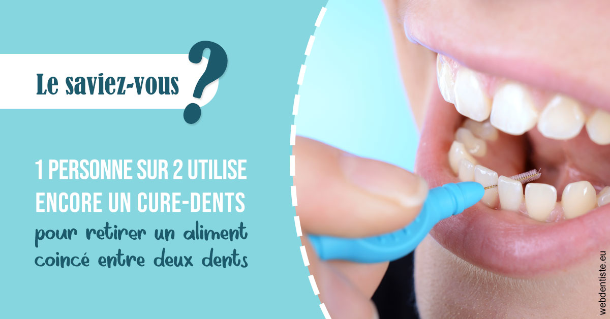 https://dr-sanglard-gilles.chirurgiens-dentistes.fr/Cure-dents 1